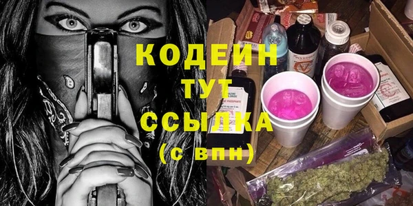 дурь Бородино