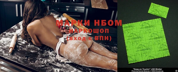 дурь Бородино
