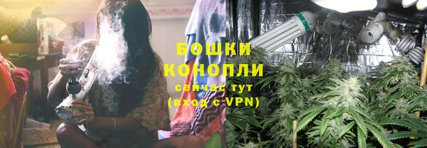 дурь Бородино