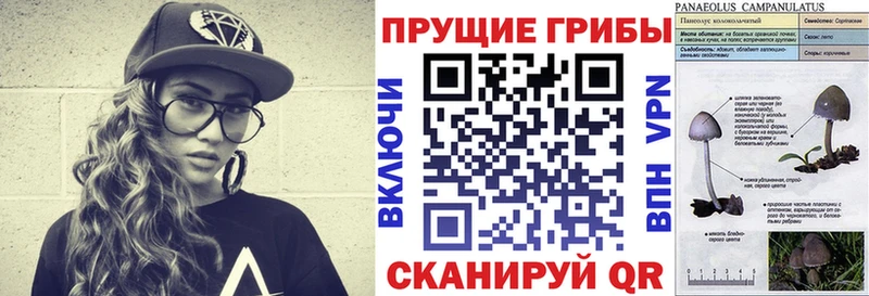 Галлюциногенные грибы Cubensis  наркота  Киселёвск 